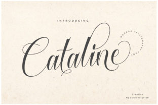 Cataline Script for Editorial Design and Creative Branding