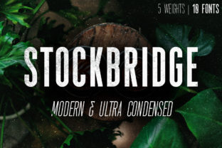 Stockbridge: A Modern Sans Serif Font for Editorial Design